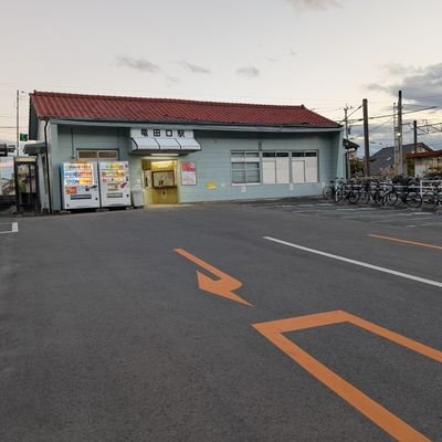 シャバダビ桃香