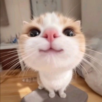 さや