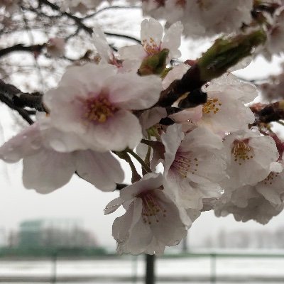 gatten 💉💉💉💉