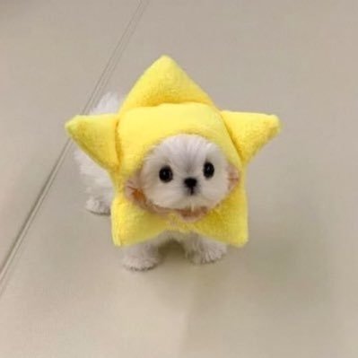 太郎