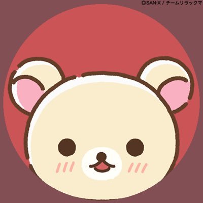 GALAXY s24ultra R6markⅡ EF100-400レンズ カメラ レンタル 貸出