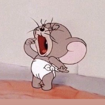 タフィーちゃん🐭🧀両顎vラインDT中