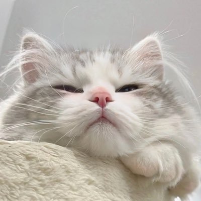 𝙆𝙞𝙧𝙖.*･ﾟ
