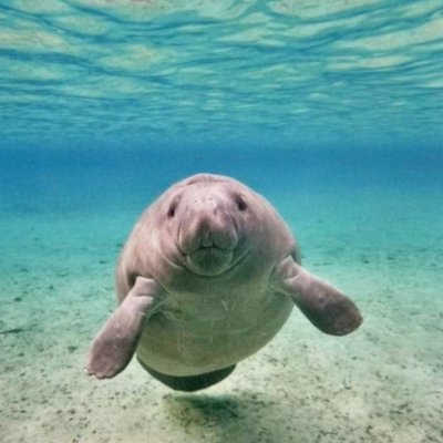 ひなさん
