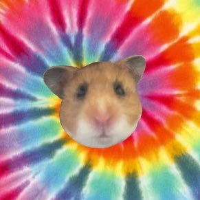 ﾊ・ﾑﾁｬﾝ🐹