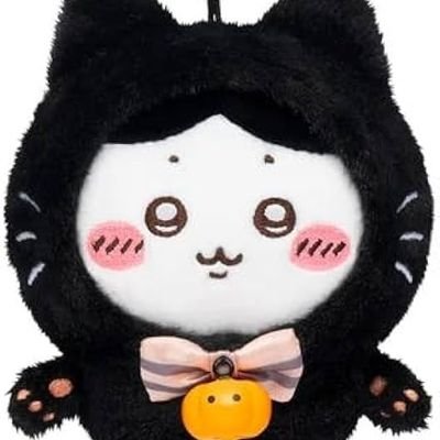 ハチワレ@ツリネバ 朝光