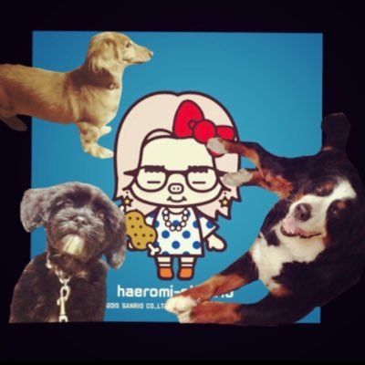 haeromi：동해 東海 엘프 ELF