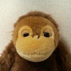 はげタコパグとカブでタビやメシ