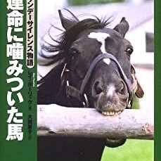 ハイティンカー