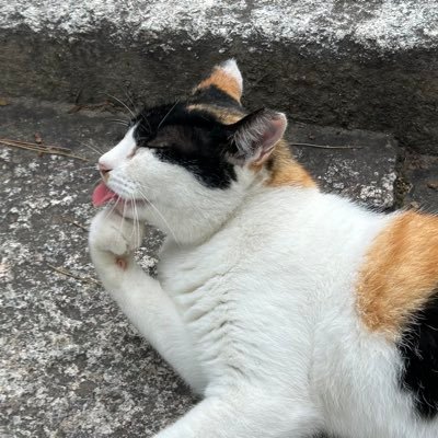 みみこ