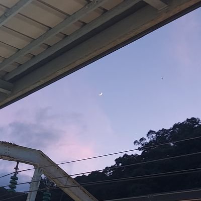 ハナダ セイジ