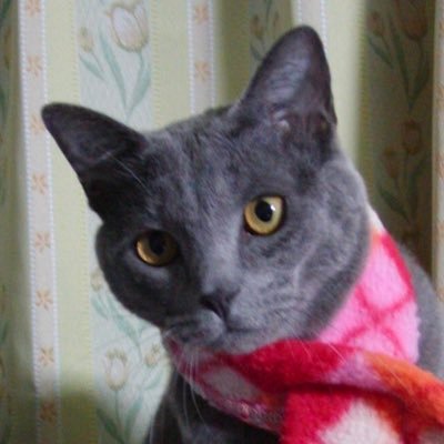 はなとかさん。