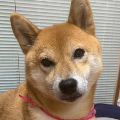 ハピみゆ🦅MUZE👑