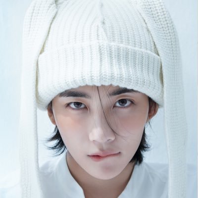 하니 固ツイ必読