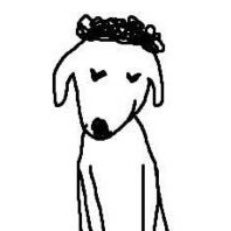 hauru🐩🌹🌻🍒🥥🎈