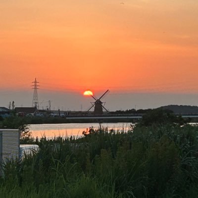 推し運悪めなんです。