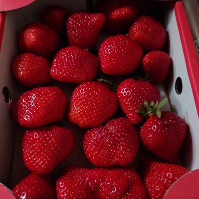 ハーシェル