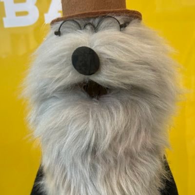 C-OUT-ALPHAZ🐺💎✨👽🌒