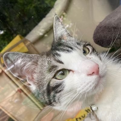 hide.1973.music～幻想の花悪の華～🌹