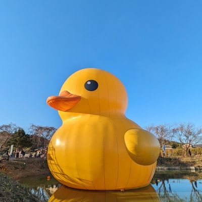 🐈ひでまさ🐾🍥