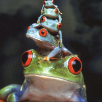 ke-K　「노동자」이자「비국민」