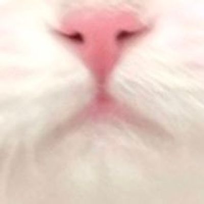 じゃがいもbot🎀