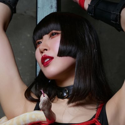 Himari Tsukishiro 月城ひまり