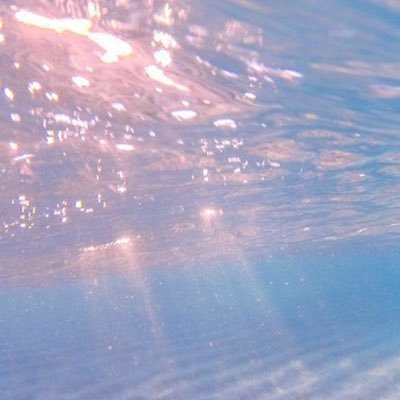 ひなりᐢ⸝⸝•⩊•⸝⸝ᐢ