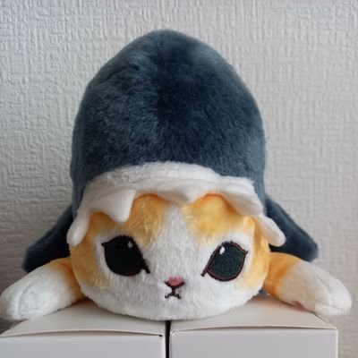 🍯🐝hiro🌐BMSG❤