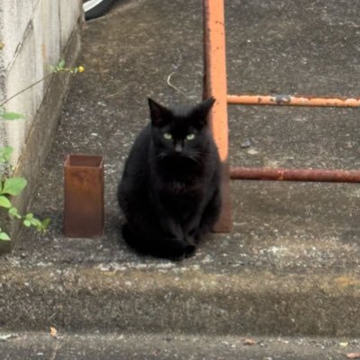 まっちゃ