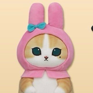 こやちゃん😈르노