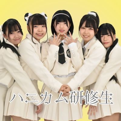 ハニカム研修生