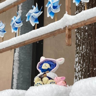 ほのかなレモン🍋