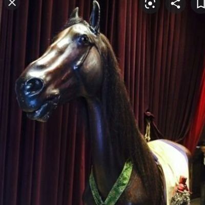 豊饒(かれい)なる才気