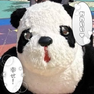 🐼 𝐇𝐚𝐩𝐩𝐲 𝓟𝓻𝓲𝓼𝓸𝓷 🎶