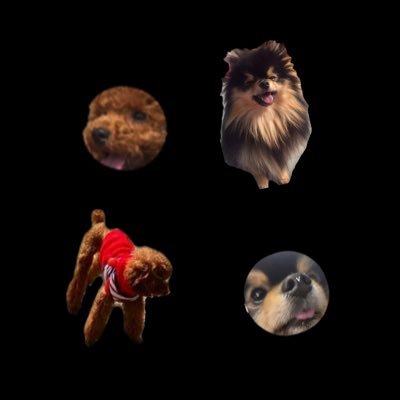 ᴴ👁👄👁ᵛ ‎ ᴅ-ᴅᴀʏ