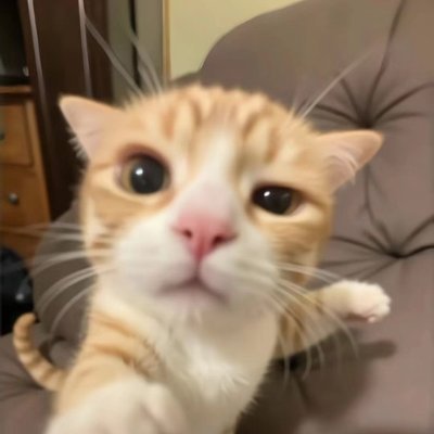 혜랑🌺𝓱𝔂𝓮𝓡𝓪𝓷𝓰