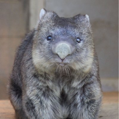 メイクサムノイズ