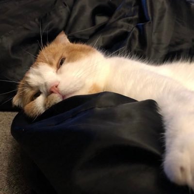 ㅌ ㅁ ㅁ