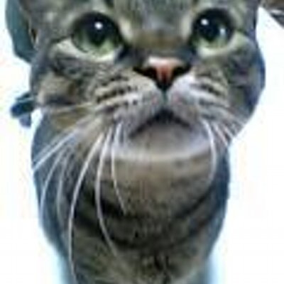 ⭐︎いーちゃん⭐︎貴教のギズモw