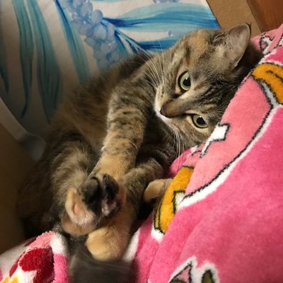 🅘🅒🅗🅘🅚🅞 🌈✈️🔦✨