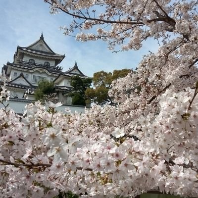 浜・城内🏯日本共産党後援会@岸和田市