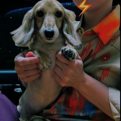 カナやん🌾GHOST11/19