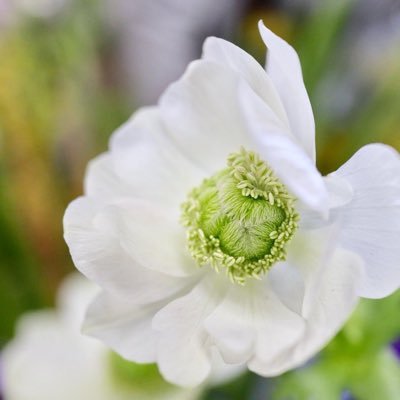 imeix🌿🪽🕊️