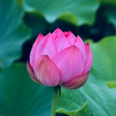 芋仁🌿読書会🕊️