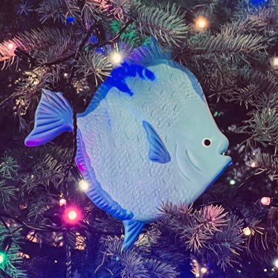 𝙚𝙣𝙟𝙤𝙮𝙡𝙪𝙘𝙠𝙮𝙝𝙖𝙥𝙥𝙮────