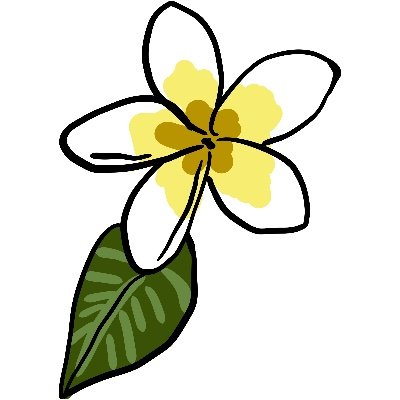 アイランドラジオ🌺