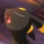 とんぷく