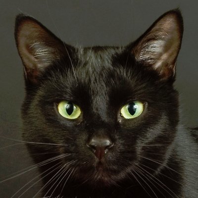 森井初太（鈍感同盟）