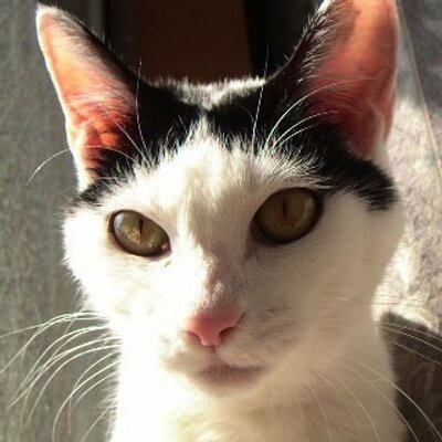 JuNya / ゆるふわvlogger